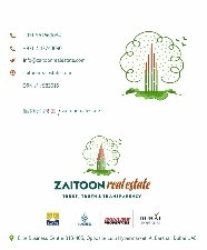 zaitoon real estate