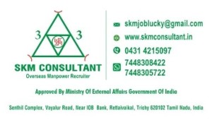 SKM CONSULTANT