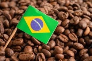 Brazilian Coffee Trading Dubai