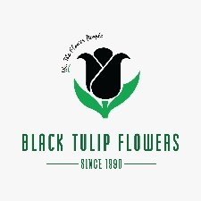 Black Tulip Flowers