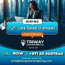 triway star shipping llc